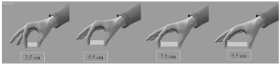 Modélisation biomécanique de la main (revue STAPS 2008/3 n°81)